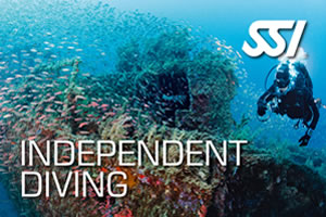 SSI Independent Diving Course